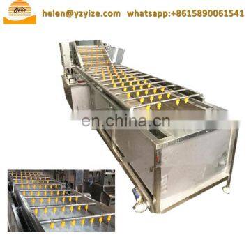Automatic Vegetable Fruit Meat Thawing Washing Machine Fruit Washer Price