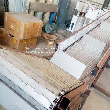 Chain Conveyor Manufacturer, Small Chain Conveyor Price photo-4