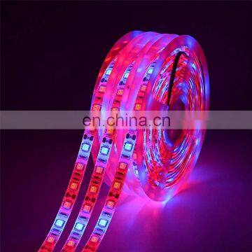 DC12V 5050  60leds/m  Led Grow strip lights For Plant Growing