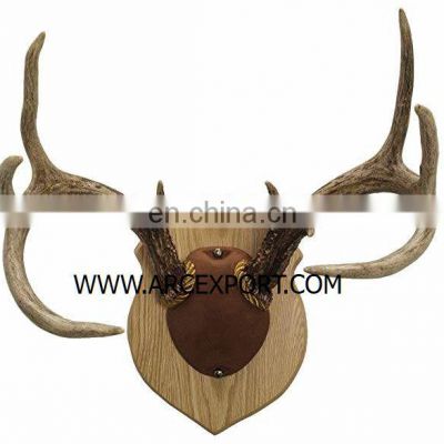 antler wall decoration