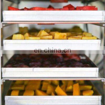 Food Freeze Dryers Sale Mini Freeze Drying Machine photo-4