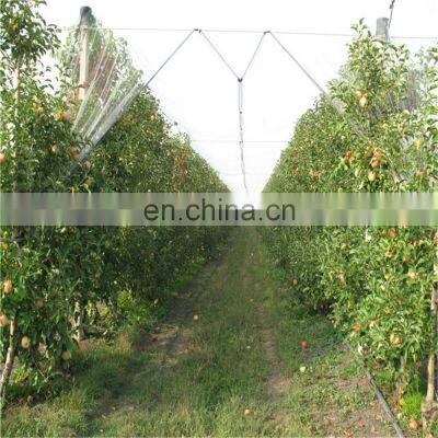 Transparent 40x25 50x25 Greenhouse Insect Net Anti Insect Net photo-4