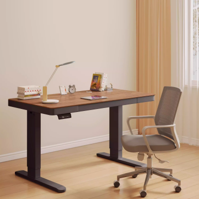 Mns Electric Standing Desk Hand Lift Table Glass Study Table for Living Room Furniture Linear Actuator for Enhanced Work photo-1