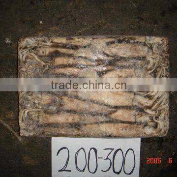 Frozen Illex squid price