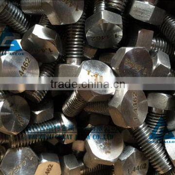 Stainless Steel Fasteners 2205 Hex Bolt and Nut