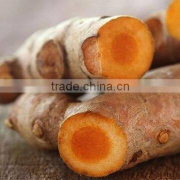 FRESH TURMERIC COMPETITIVE PRICE HIGH QUALITY