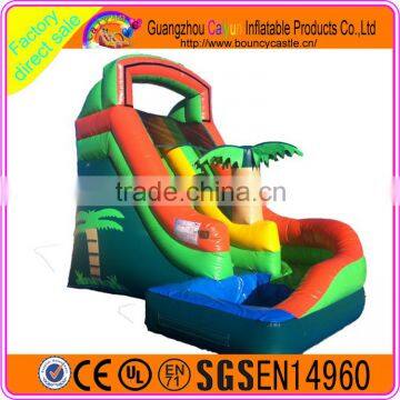 2016 Pop-selling Custom Made Inflatable Plastic Water Slide photo-4