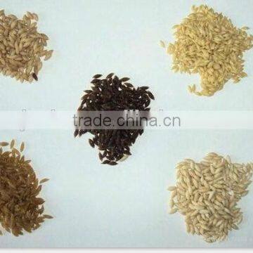 Stainless Steel Automatic Healthy Nutritional Man Made Rice Production Line photo-5