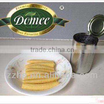 Best Sales Baby Corn 425g