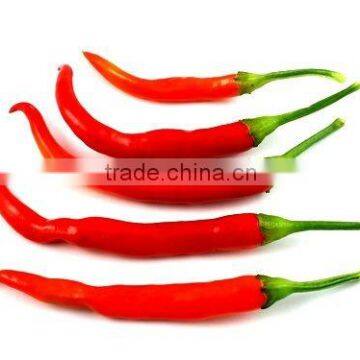 Capsicum Oleoresin