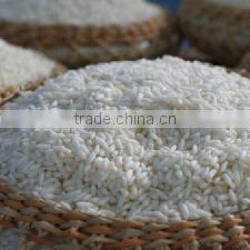 VIET NAM Glutinous Rice 10% Broken_KHANH TAM RICE FACTORY photo-2
