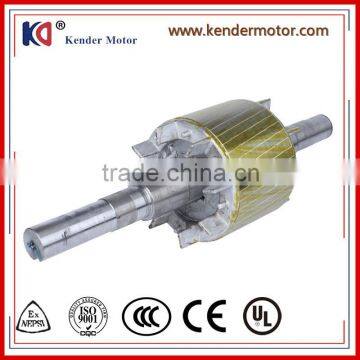 Rotor for Permanent Magnet Generator