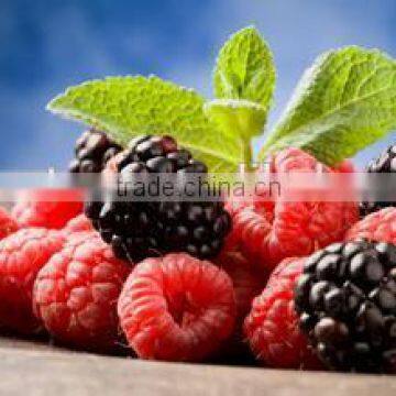 Mulberry fruit Extract