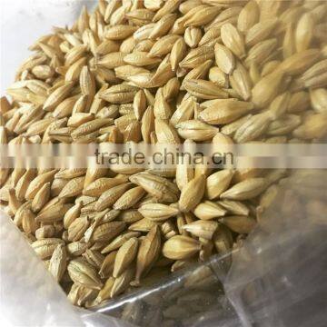 Ukraine barley ,barley seeds have good quality and price