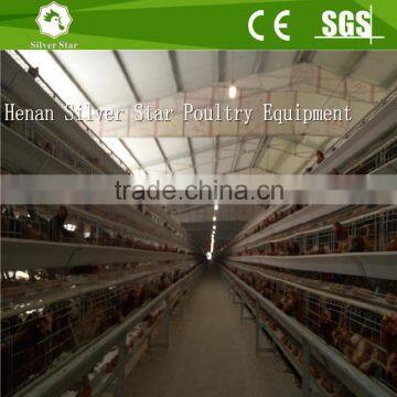 Automatic layer poultry cage/layer chicken cage/poultry cage system