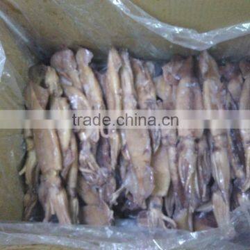 Illex Squid W/R photo-3