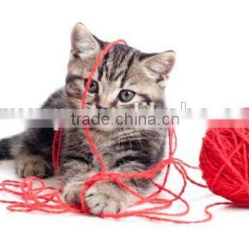 free sample available cat toy toy ball for cat