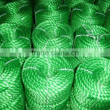 Twisted pe Rope of Many Colors photo-4