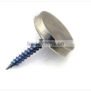 Mirror Nail for Advertising Plate, Stainless Steel Acrylic Advertising Nail