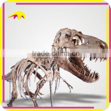 KANO5201 Museum Show Artificial Life Size Velociraptor Skeleton