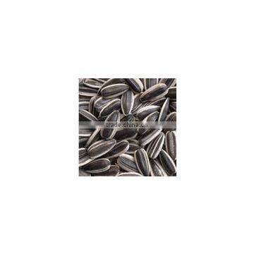 sunflower seeds in shell