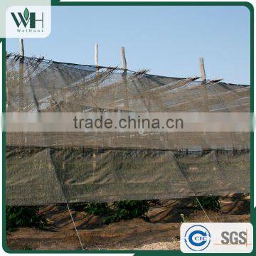 Top-rated Black Pepper Seed 500gl From Vietnam Exporter photo-5