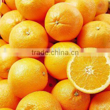 fresh navel orange