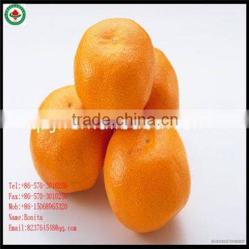 Canned Mandarin Orange Segments