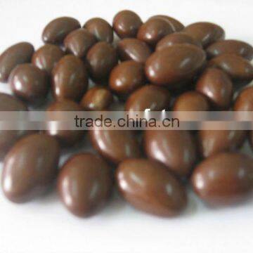 Hot sell sweet raisin chocolate in China