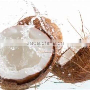 Raw semi husked coconuts