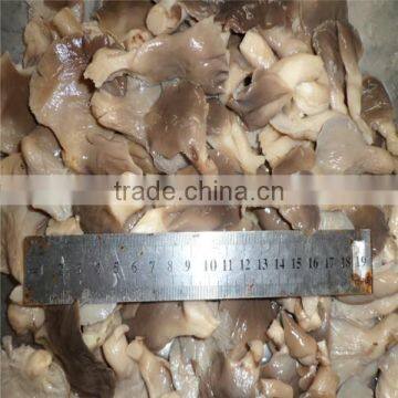 Sale Vegetarian Oyster Mushroom Bottle Pleurotus Mushrooms Dried Oyster Mushroom photo-4