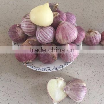 YUYUAN brand hot sail fresh garlic black garlic capsule