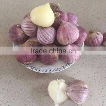 YUYUAN Brand Hot Sail Fresh Garlic Black Garlic Capsule