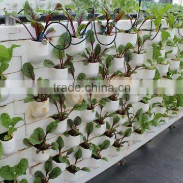 Expanded Perlite for Seedlings, Grow Composts, Soil Conditioner photo-5