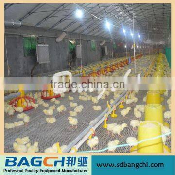 Hot Sale 2015 Automatic Chick Drinker Line for Broiler