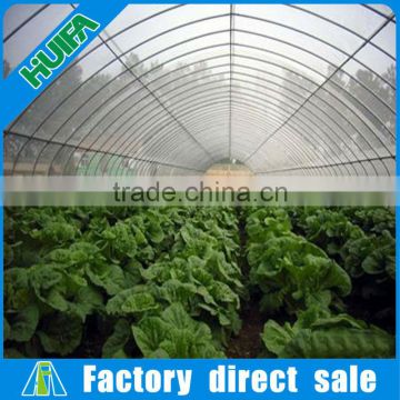 Single span galvanized steel frame greenhouse for farm