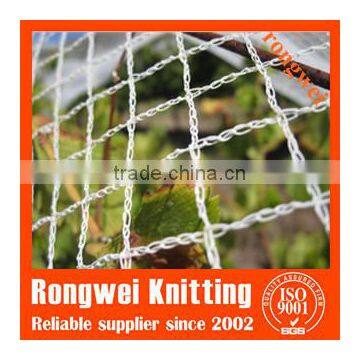 bird control net
