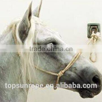 Halters Type any horse halters