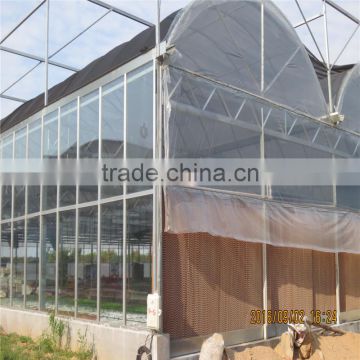 Multiwall polycarbonate roofing sheet greenhouse