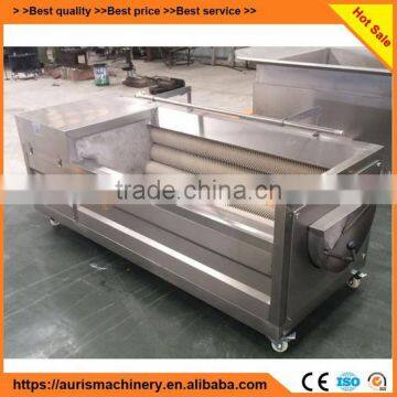 Hot Selling Automatic Sweet Potato Radish Fruit and Vegetable Brush Washer photo-4