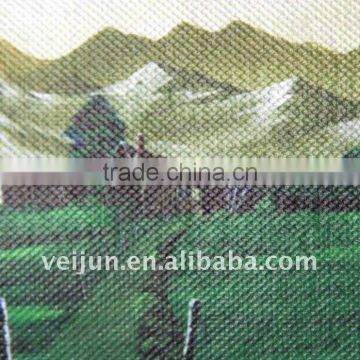 PP Spunbonded Printing Nonwoven Fabric for covering plants