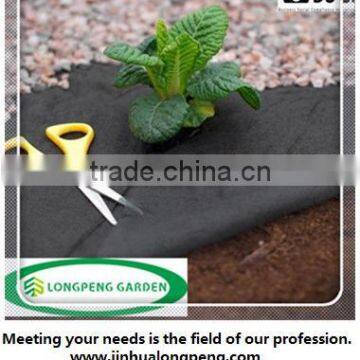 Black PP Woven Weed Control Fabric,Landscape Fabric