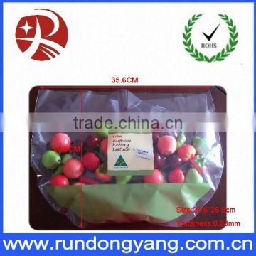 hange plastic fruit packing protection bag with air holes