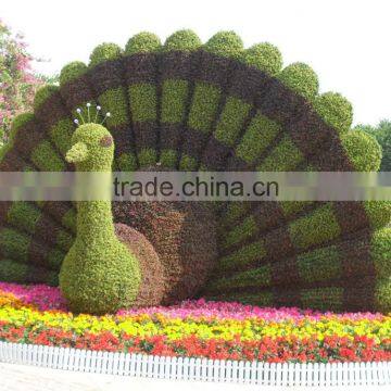 Hot Sale Little Green Sculpture Aritificial Simulation Plastic Fake Plant Sculpture photo-5
