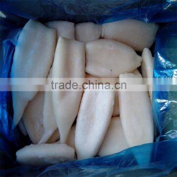 Frozen Pacific Squid Tube u5 u7 U10 photo-4