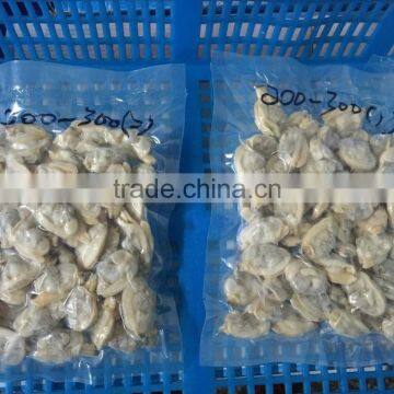 Fully Cooed Short Necked Clam Meat photo-6