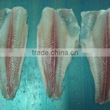 Pangasius / Basa