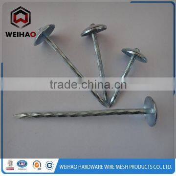 ISO 9001 Electro Galvanized Mushroom & umbrella head roofing nails