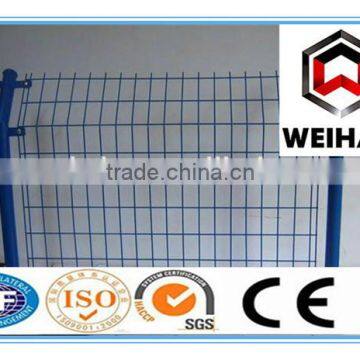 Hot Dipped Galvanized Welded Wire Mesh in Roll Used for Construction