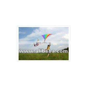 Kite Flying Glazed Cotton Thread